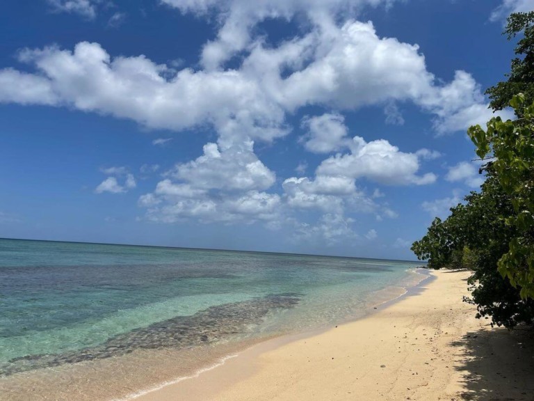 Plage du Souffleur Guadeloupe à Port Louis tout savoir