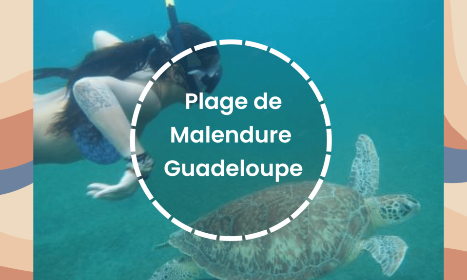 Plage de Malendure Guadeloupe