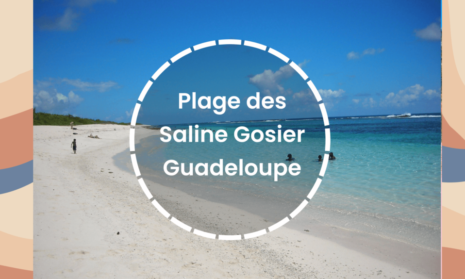 Plage des salines Guadeloupe