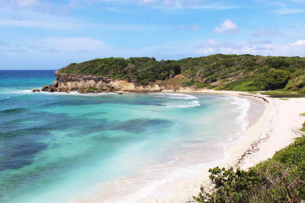 la plage du helleux en guadeloupe