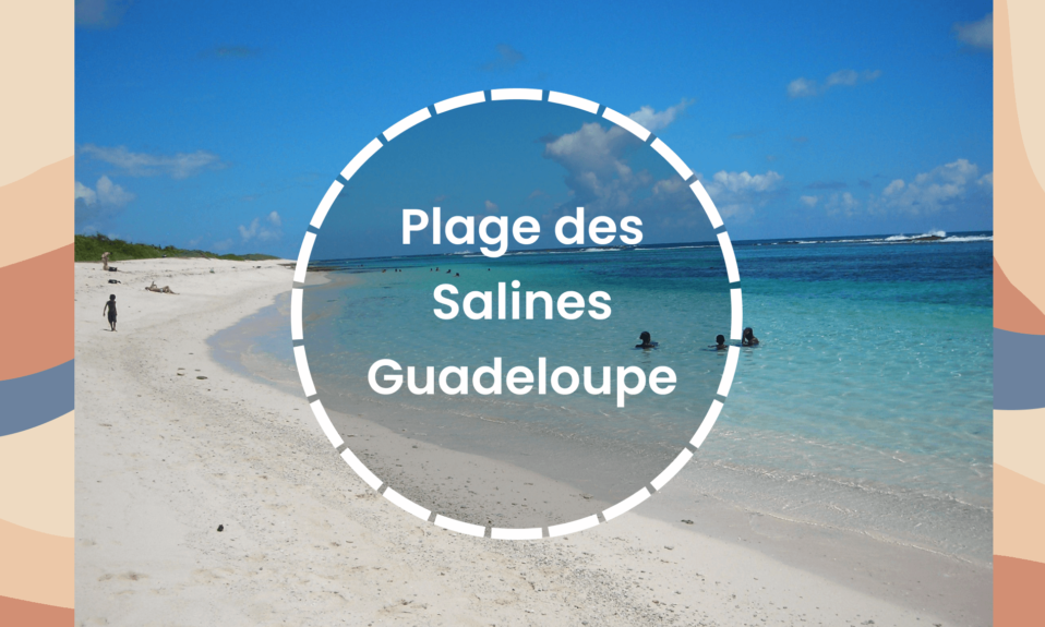 Plages des salines Guadeloupe