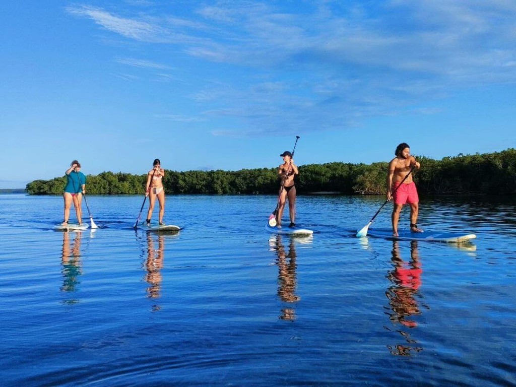 paddle stand up en Guadeloupe