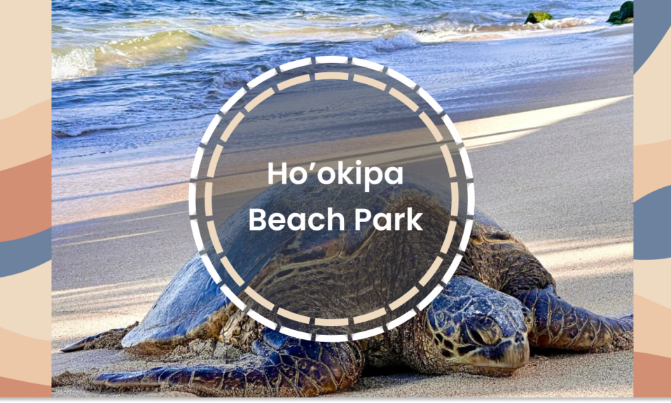 Hookipa beach park