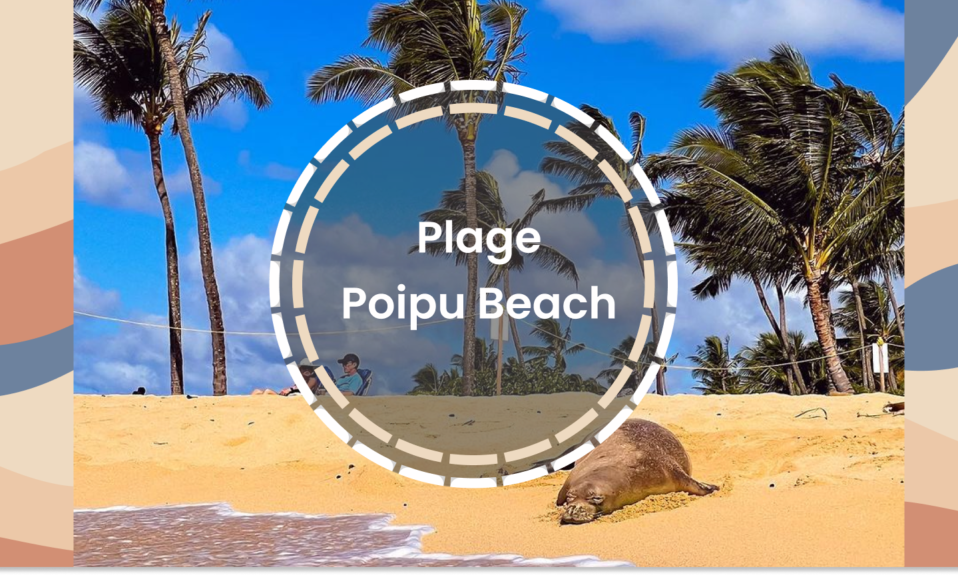 Poipu beach