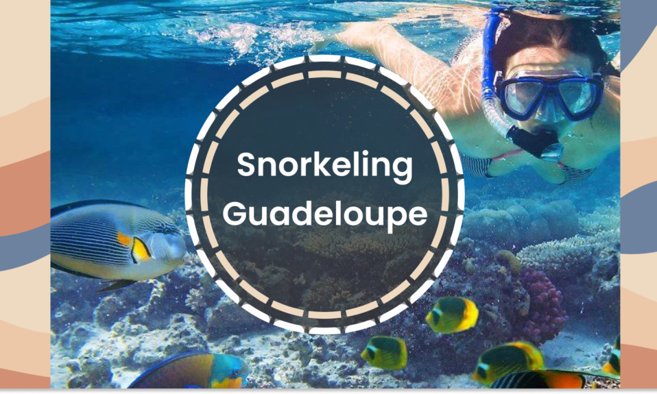 snorkeling Guadeloupe