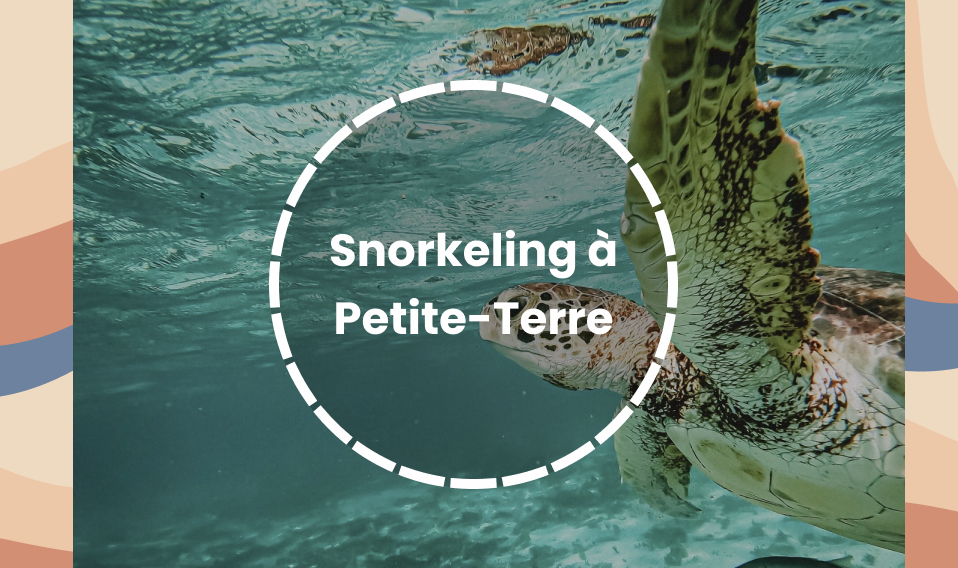 Snorkeling petite -terre