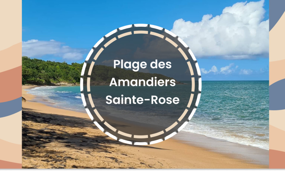 Plage des Amandiers Sainte-Rose