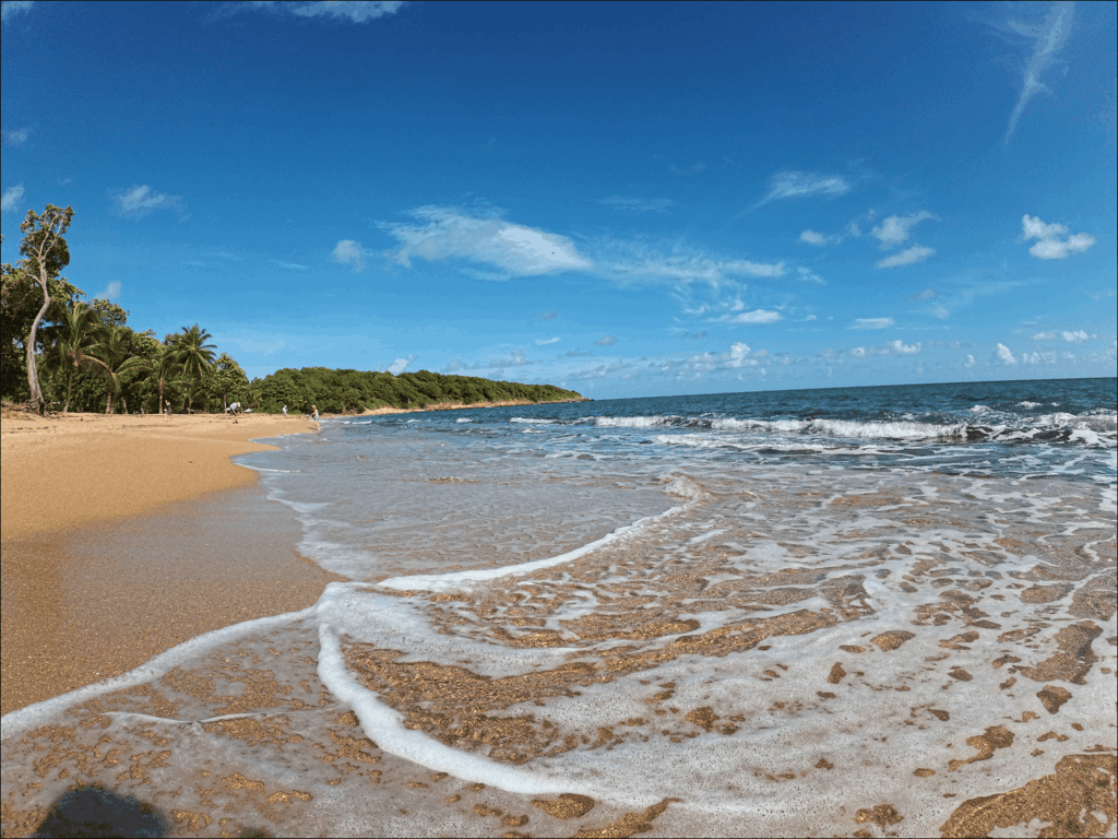 plage des amandiers à Sainte- Rose Gualedeloupe
