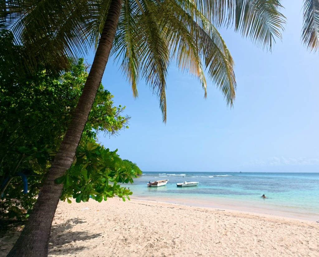 plage incontournable 