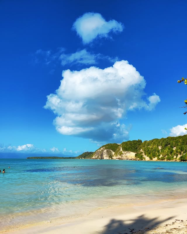 avis plage de Petit-Havre