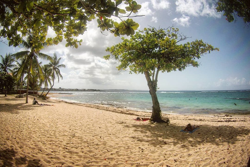 plage de l'autre bord moule