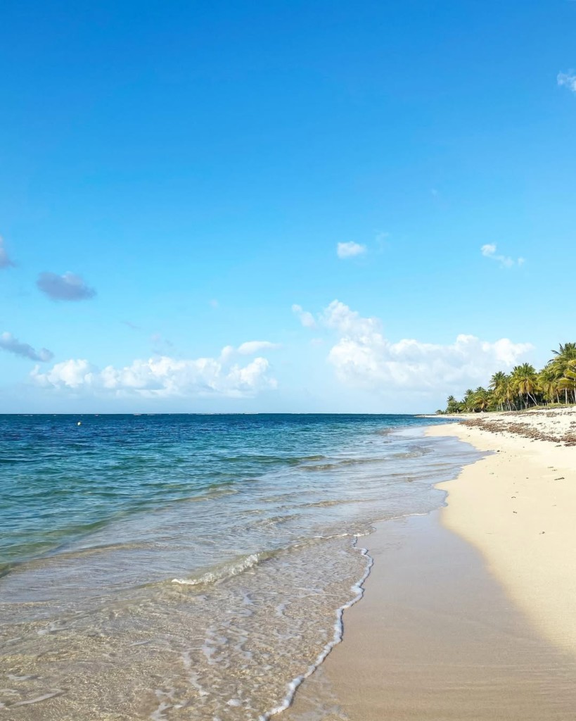 mer plage de l'autre bord moule